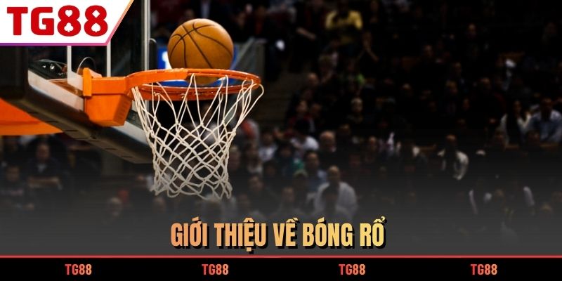 Bóng Rổ Trò Chơi Giải Trí Mới Trong Làng Cá Cược Thể Thao Online 6 Giới thiệu về Bóng Rổ