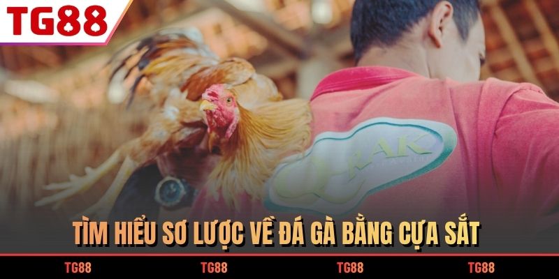 Tìm hiểu sơ lược về đá gà bằng cựa sắt