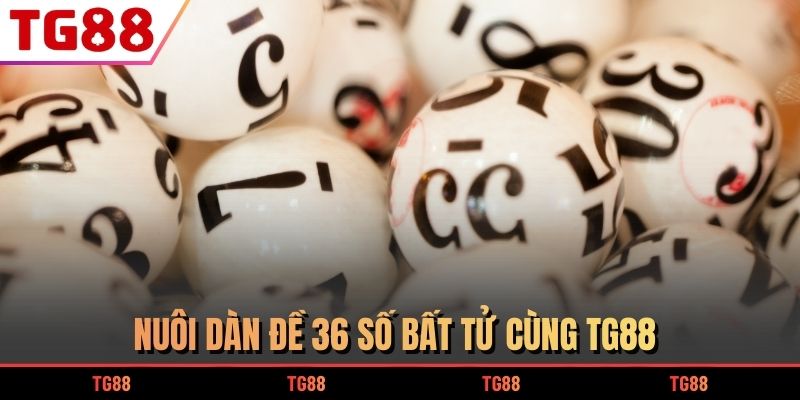 Nuôi dàn đề 36 số bất tử cùng TG88