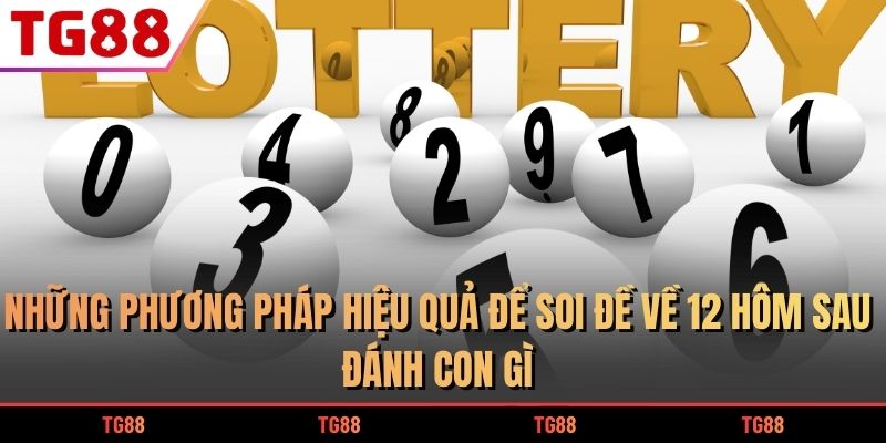 Đề Về 12 Hôm Sau Đánh Con Gì Chuẩn Xác Để Trúng Lô Lớn 7 Những phương pháp hiệu quả để soi đề về 12 hôm sau đánh con gì