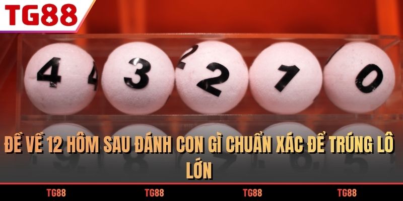Đề Về 12 Hôm Sau Đánh Con Gì Chuẩn Xác Để Trúng Lô Lớn 4 Đề về 12 hôm sau đánh con gì