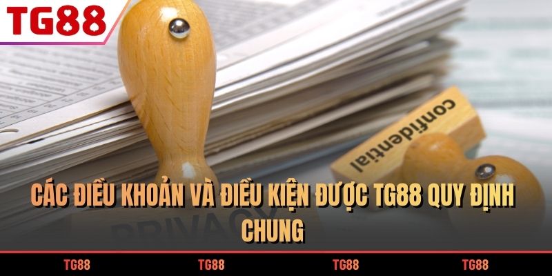 Các điều khoản và điều kiện được TG88 quy định chung