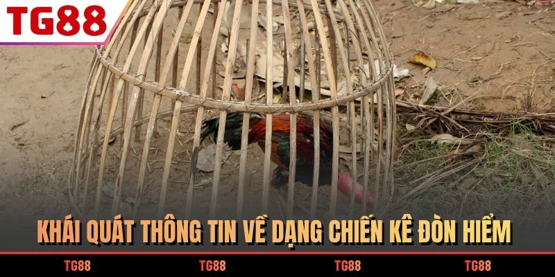 Khái quát thông tin về dạng chiến kê đòn hiểm