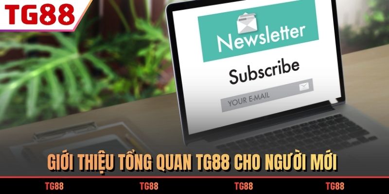 Giới thiệu tổng quan TG88 cho người mới