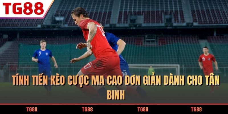 Tính tiền kèo cược Ma Cao đơn giản dành cho tân binh